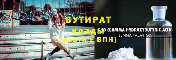 индика Вязники