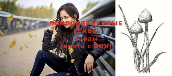 индика Вязники