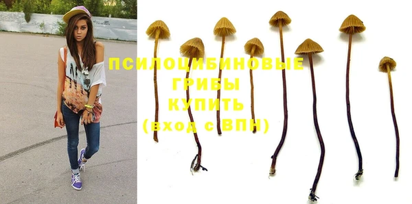 герыч Вязьма