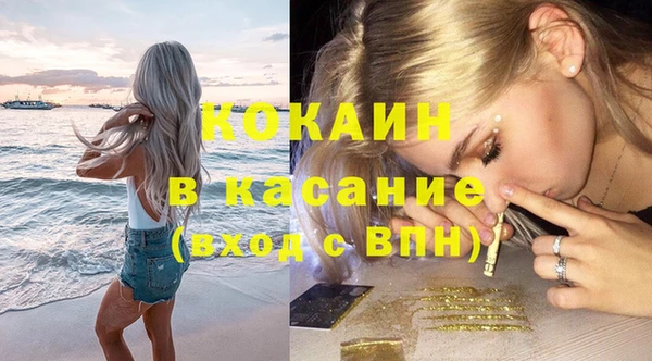 индика Вязники
