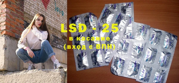 индика Вязники