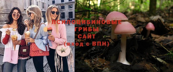 индика Вязники