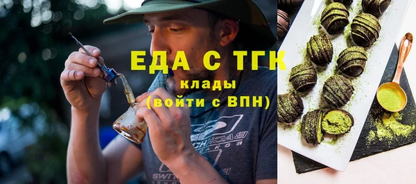 индика Вязники