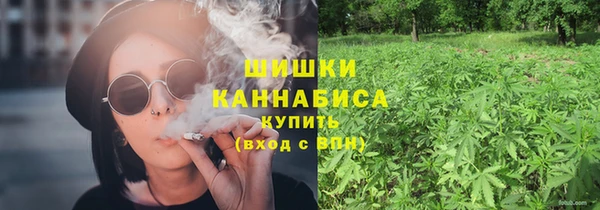 индика Вязники
