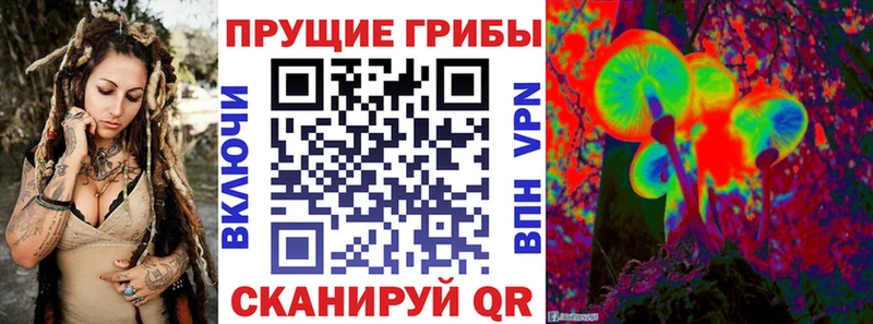 Галлюциногенные грибы Magic Shrooms  Купить закладки  Катайск 